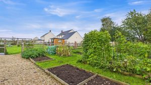 Photo 39- click for photo gallery